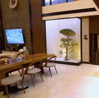 Ruang keluarga menyatu dengan dapur dan area makan. Di salah satu sudut, terdapat taman mungil estetis yang dihiasi pohon cemara udang. (Foto: YouTube/Trans7 Official)