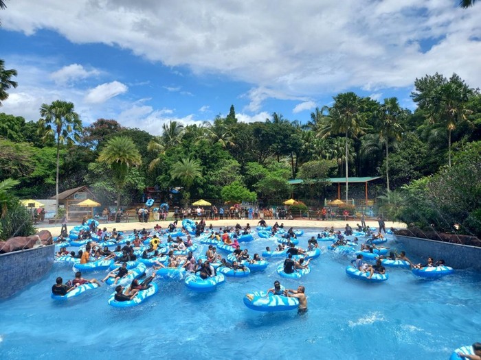 advjungleland