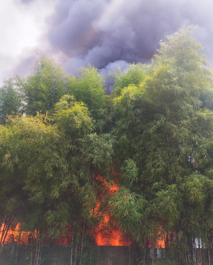 Inferno Melalap Lautan Kayu di Jakarta Timur, Api Mengamuk Tak Terkendali