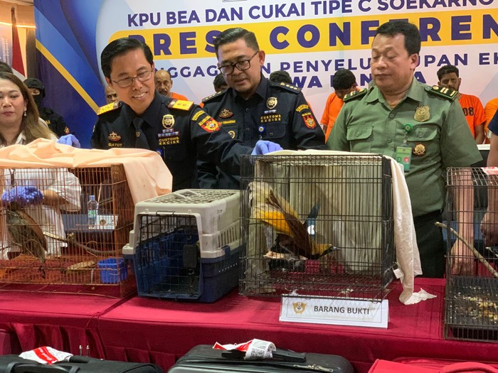 Bea Cukai Soetta tunjukkan satwa langka yang hendak diselundupkan 10 WN Indiia (Taufiq/detikcom)
