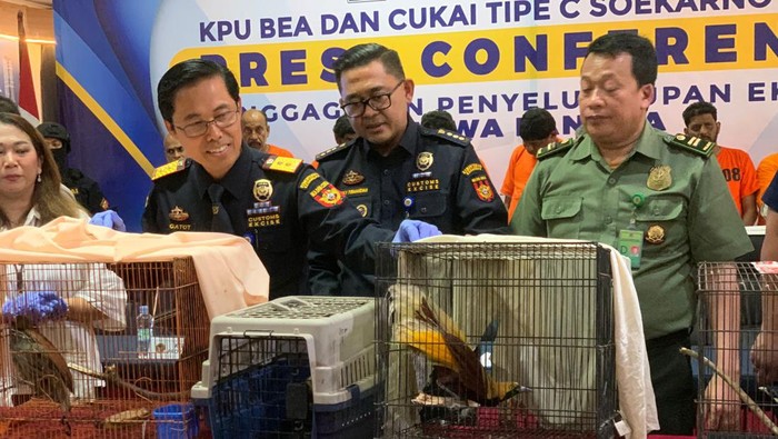 Bea Cukai Soetta tunjukkan satwa langka yang hendak diselundupkan 10 WN Indiia (Taufiq/detikcom)