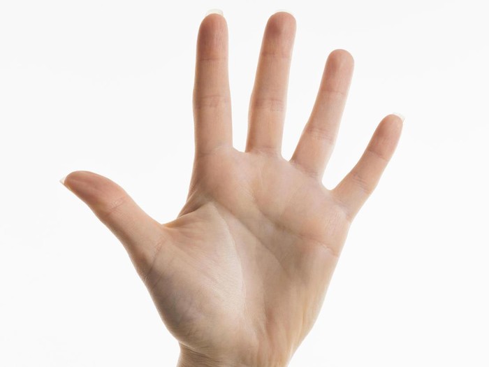 ilustrasi jari tangan