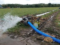 Pemprov Sulsel-Pemkab Takalar Optimalkan Sistem Pengairan Pertanian