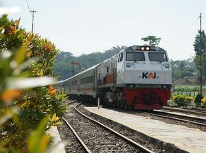 Info Terbaru KA Surabaya-Banyuwangi Oktober 2025, Cek Harga Tiket!