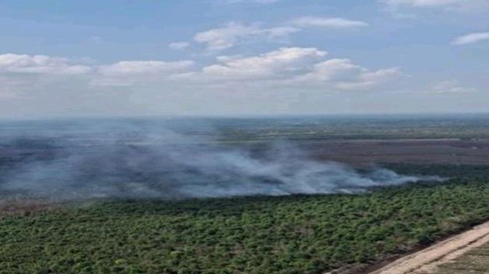 Karhutla di Penukal Utara masih terus diupayakan padam oleh Satgas udara dan darat.
