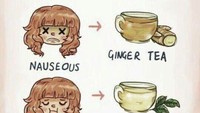 Tiap jenis teh punya manfaat. Kalau sedang kurang tidur, stress, atau flu, coba konsumsi jenis teh-teh ini. Foto: Bored Panda