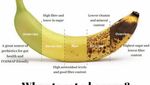 Keren! 10 Diagram Makanan Ini Sangat Informatif Buat Foodies