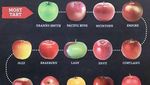 Keren! 10 Diagram Makanan Ini Sangat Informatif Buat Foodies