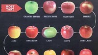 Diagram ini menggambarkan rasa apel berdasarkan jenisnya. Dari Granny Smith yang paling asam hingga Fuji yang paling manis. Foto: Bored Panda