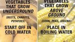Keren! 10 Diagram Makanan Ini Sangat Informatif Buat Foodies