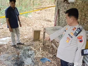 5 Fakta Pria Semarang Tepergok Makan Daging Kucing