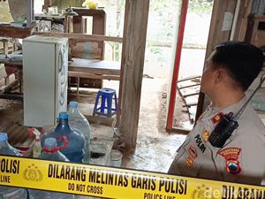 Makan Daging Kucing untuk Atasi Diabetes Dipastikan Hoax, Dokter Singgung Risikonya