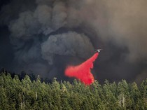 Potret Helikopter dan Pesawat Berjuang Padamkan Kebakaran Hutan di California