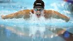 Potret Memukau dari Arena Renang Olimpiade Paris 2024