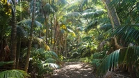Hanya 400 orang yang diperbolehkan masuk dalam satu waktu. Pulau Lord Howe namanya.
