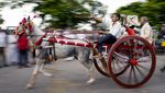 Unik, Ada Lomba Balap Kereta Kuda Tradisional di India