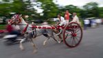 Unik, Ada Lomba Balap Kereta Kuda Tradisional di India