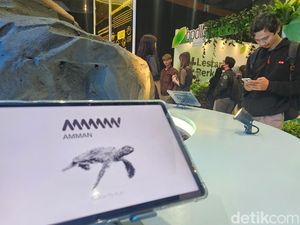 AMMAN Pilih Gili Balu Jadi Wilayah Pengembangan Pariwisata, Ini Alasannya
