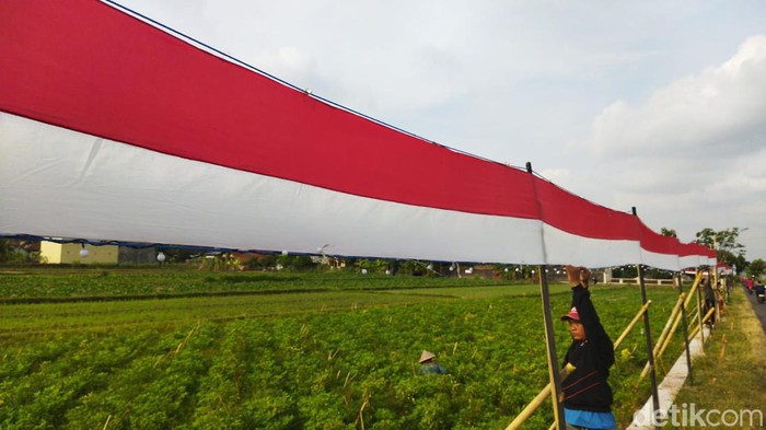 Bendera merah putih sepanjang 325 meter di Tegal Kumpul, Kokosan, Kecamatan Prambanan.