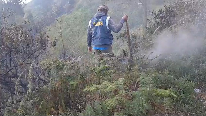 Bukit Kingkong Kawasan Bromo terbakar