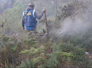 Hutan Bukit Kingkong Kawasan Bromo Terbakar
