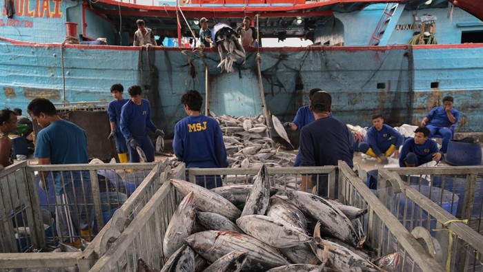 Pekerja melakukan bongkar muat ikan di Pelabuhan Perikanan Samudera Nizam Zachman, Jakarta Utara, Kamis (8/8/2024). Kementerian Kelautan dan Perikanan mencatat pada semester I 2024 telah melakukan ekspor produk perikanan ke 118 negara atau meningkat dibanding periode yang sama di tahun 2023 yakni 102 negara. ANTARA FOTO/Fauzan/nym.