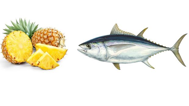 Kolase buah nanas dan ikan tuna. (CNBC Indonesia)