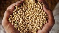Diperkirakan ada sekitar 100 perajin tempe di sini. Mereka berasal dari Pekalongan, Jawa Tengah dan usahanya diteruskan anak dan cucunya.
