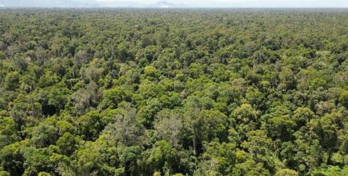 Menteri LingkunganKementerian Lingkungan Hidup dan Kehutanan Hidup dan Kehutanan Siti Nurbaya menegaskan bahwa lebih dari 95% dari Suaka Margasatwa Rawa Singkil (SMRS) yang luasnya lebih dari 82 ribu hektar di Aceh – masih dalam kondisi utuh. (Dok. Kementerian Lingkungan Hidup dan Kehutanan)