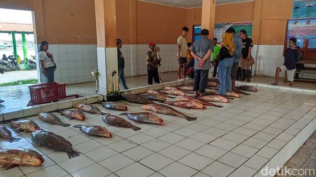Nelayan yang sedang menjual ikan di TPI Pangandaran