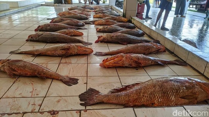 Nelayan yang sedang menjual ikan di TPI Pangandaran