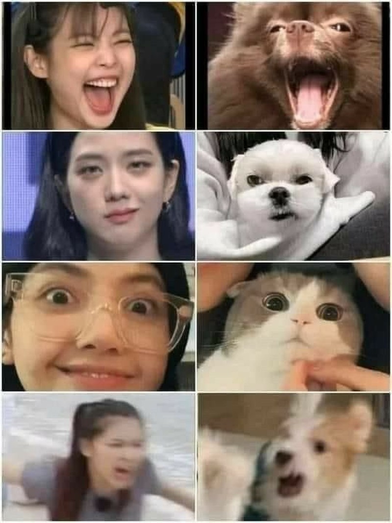 Sejak debut 8 Agustus 2016, Blackpink selalu buat penggemarnya bangga dengan segala pencapaiannya. Keren banget deh Jisoo, Jennie, Rosé dan Lisa!