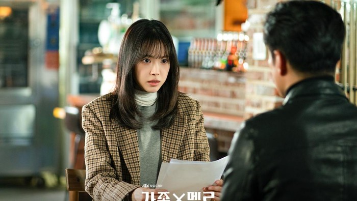 Drama Korea Romance in the House