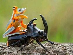 Momen Menakjubkan Terabadikan Kamera