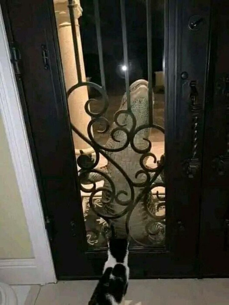 Foto Momen Menakjubkan