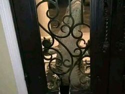 Momen Menakjubkan Terabadikan Kamera