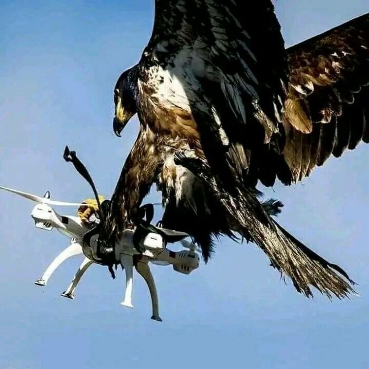 Foto Momen Menakjubkan