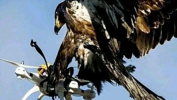 Ketika Alam Mengalahkan Teknologi Foto: Boredpanda