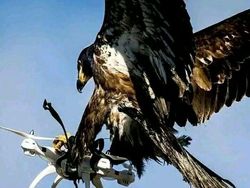 Momen Menakjubkan Terabadikan Kamera