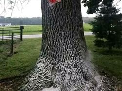 Momen Menakjubkan Terabadikan Kamera