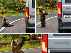 Momen Menakjubkan Terabadikan Kamera