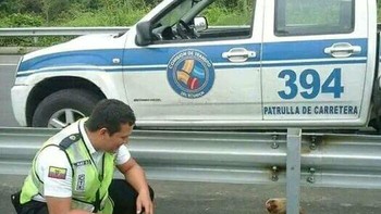 Polisi Menyelamatkan Si Sloth Kecil yang Ketakutan Terjebak di Jalan Raya Foto: Boredpanda