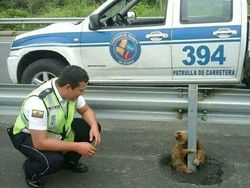 Momen Menakjubkan Terabadikan Kamera