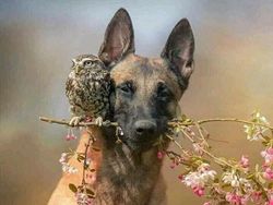 Momen Menakjubkan Terabadikan Kamera