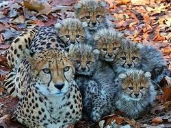 Momen Menakjubkan Terabadikan Kamera