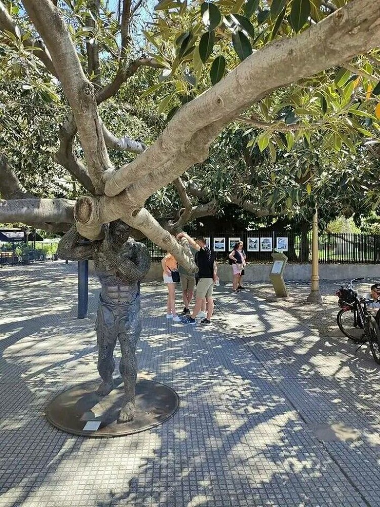 Foto Momen Menakjubkan