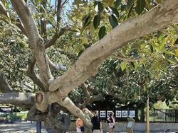 Momen Menakjubkan Terabadikan Kamera