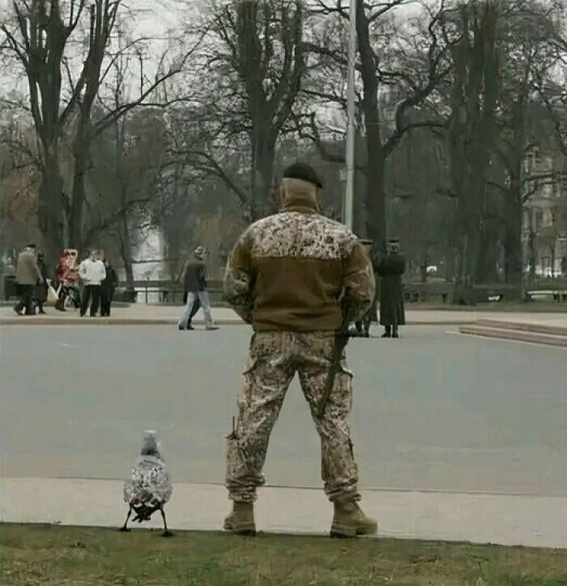 Foto Momen Menakjubkan