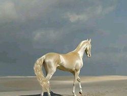 Momen Menakjubkan Terabadikan Kamera