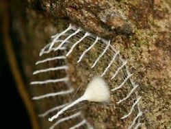 Momen Menakjubkan Terabadikan Kamera